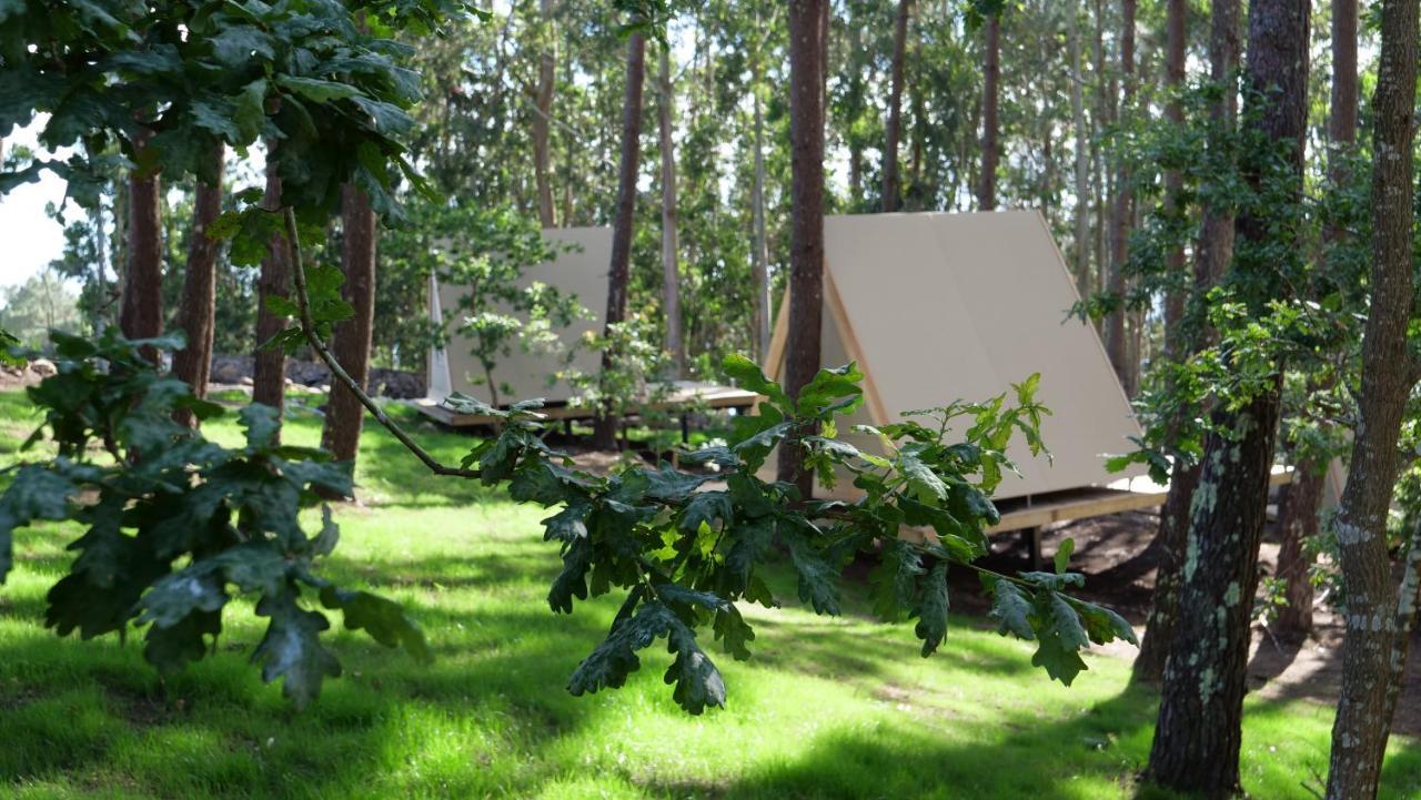 Amaraxe Ecoglamping Hotel Minortos Eksteriør billede